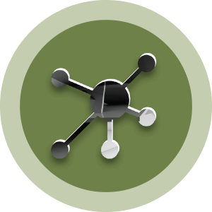 Network Security