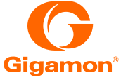 Gigamon